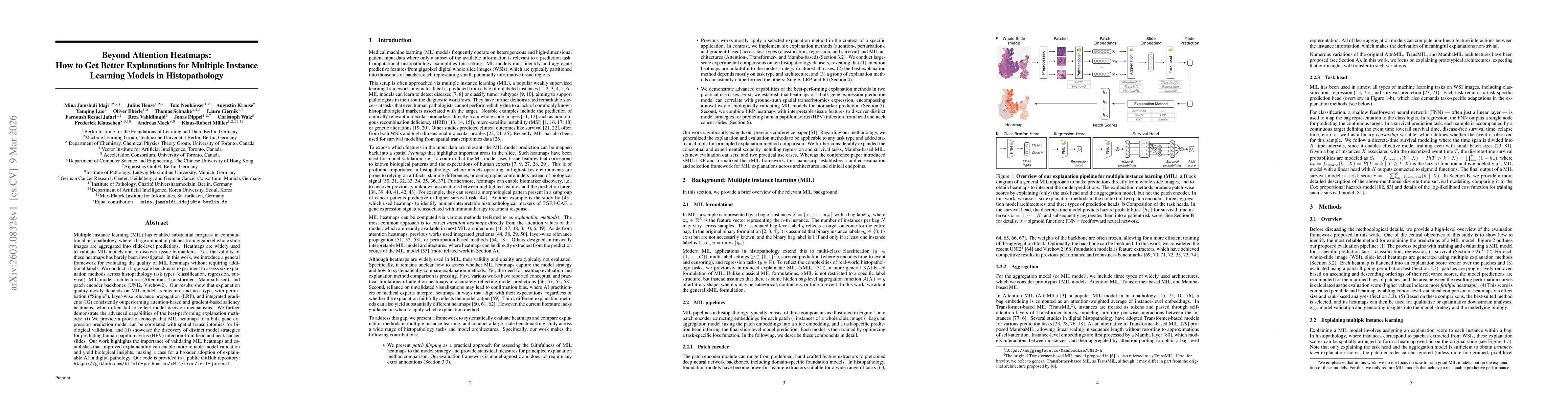 Thumbnail for Beyond Attention Heatmaps: How to Get Better Explanations for Multiple Instance Learning Models in Histopathology