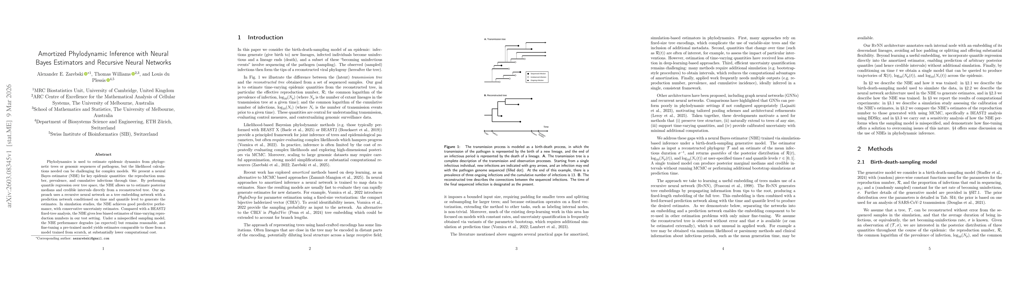 Thumbnail for Amortized Phylodynamic Inference with Neural Bayes Estimators and Recursive Neural Networks