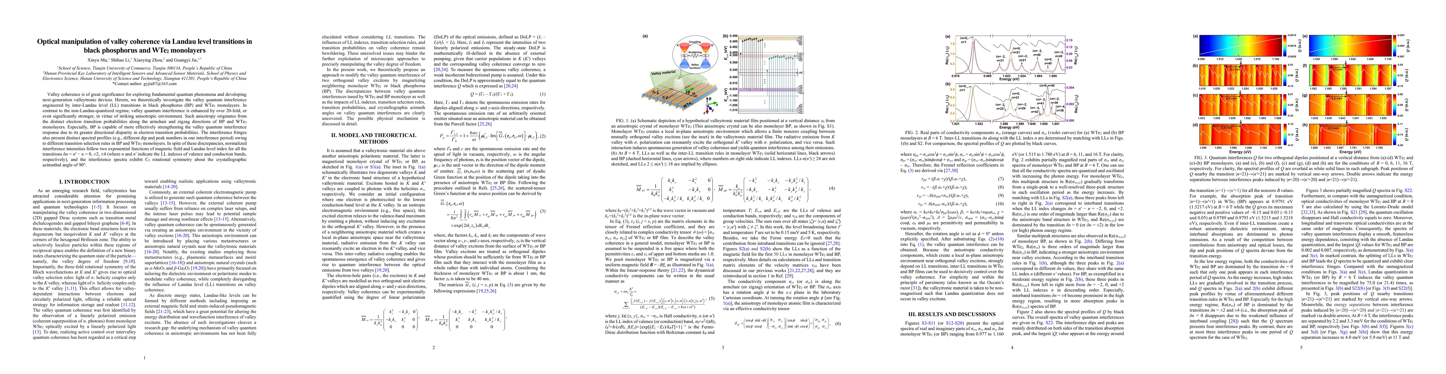 Thumbnail for Optical manipulation of valley coherence via Landau level transitions in black phosphorus and WTe2 monolayers
