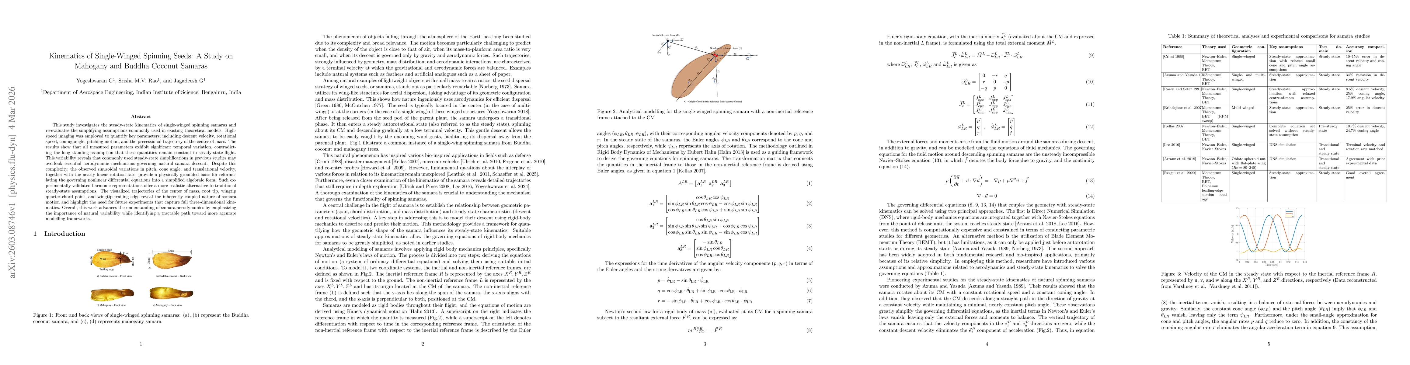Thumbnail for Kinematics of Single-Winged Spinning Seeds: A Study on Mahogany and Buddha Coconut Samaras