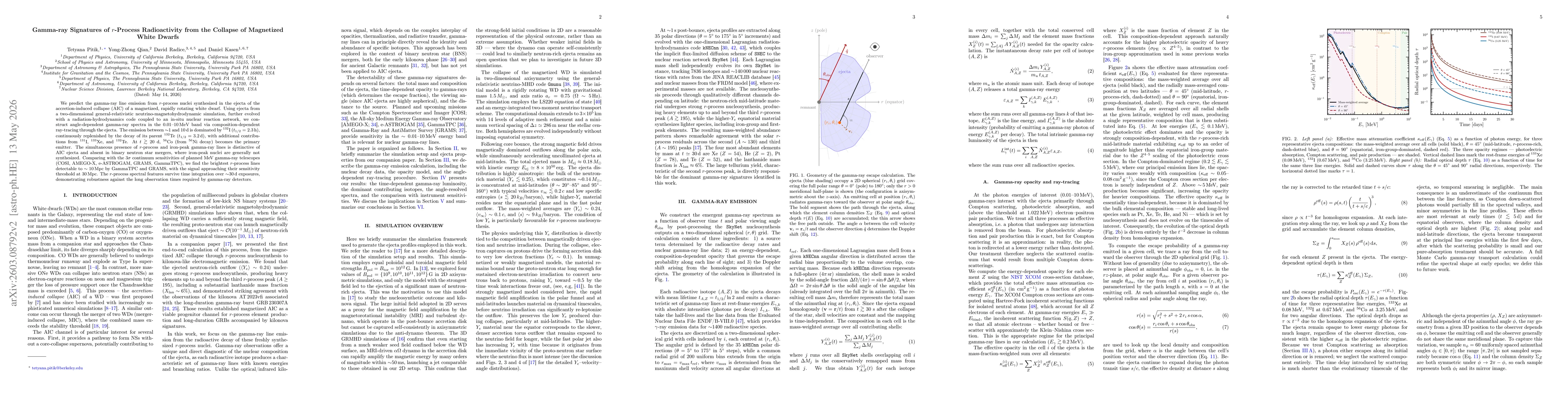 Thumbnail for Gamma-ray Signatures of r-Process Radioactivity from the Collapse of Magnetized White Dwarfs