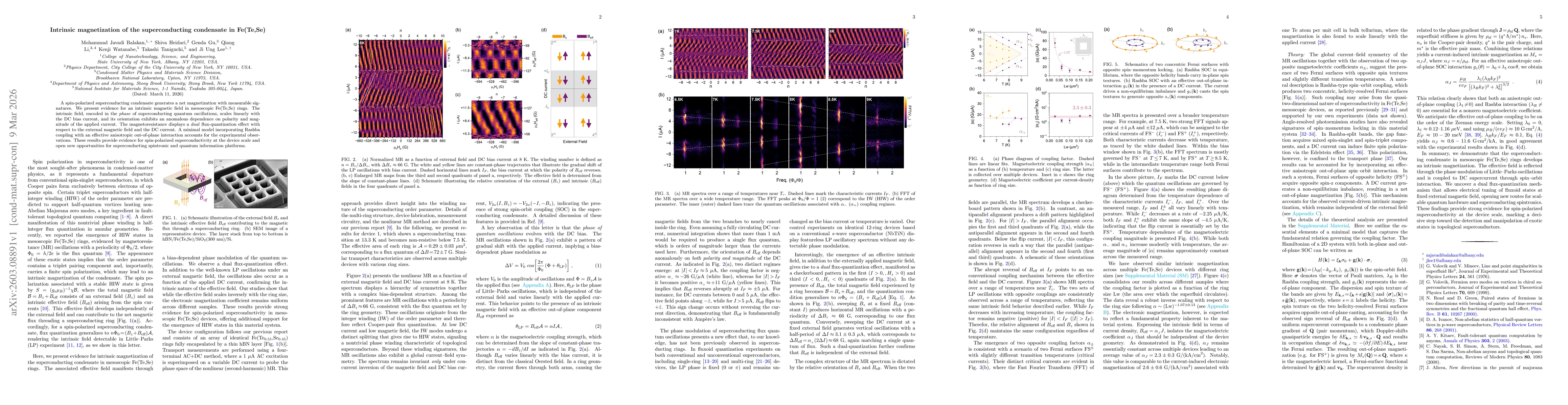 Thumbnail for Intrinsic magnetization of the superconducting condensate in Fe(Te,Se)