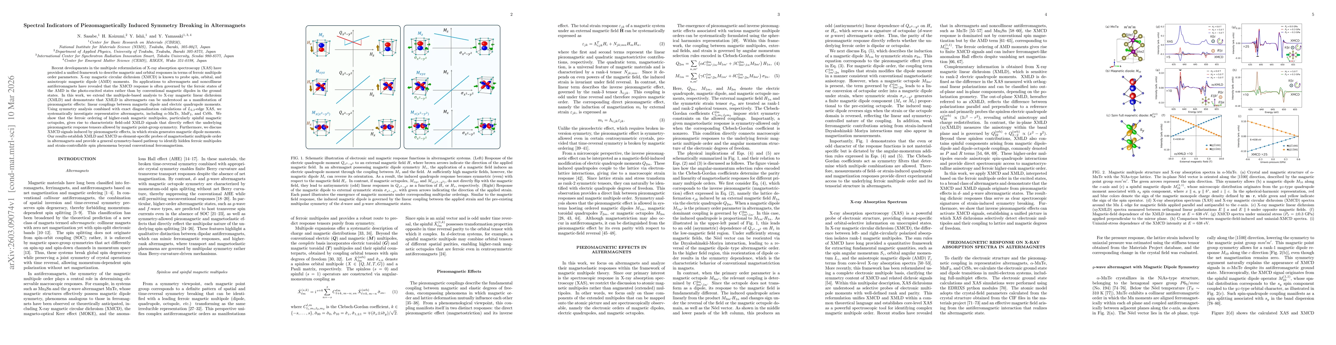 Thumbnail for Spectral Indicators of Piezomagnetically Induced Symmetry Breaking in Altermagnets