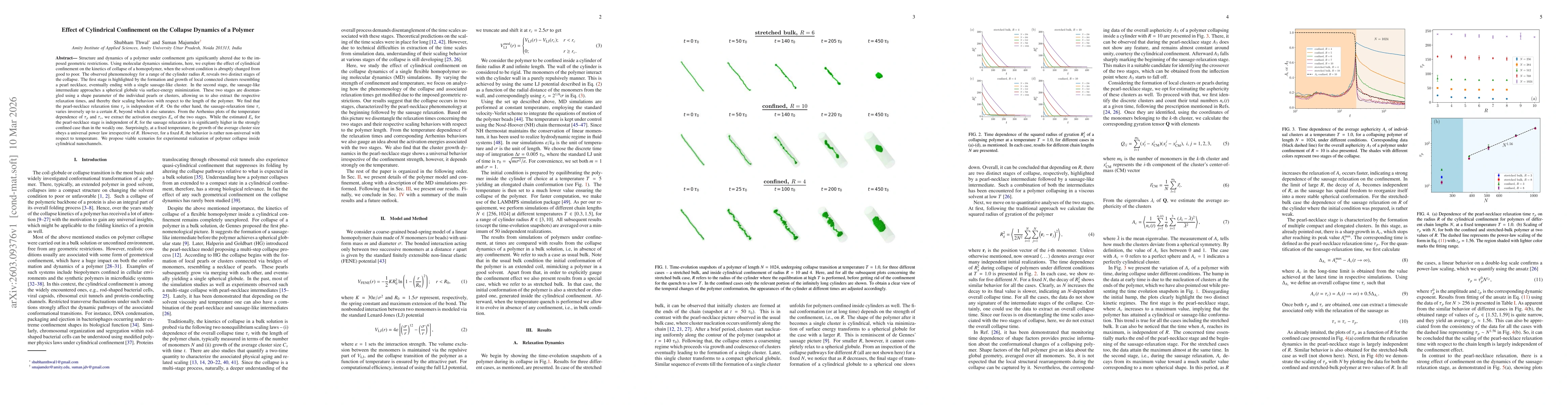 Thumbnail for Effect of Cylindrical Confinement on the Collapse Dynamics of a Polymer