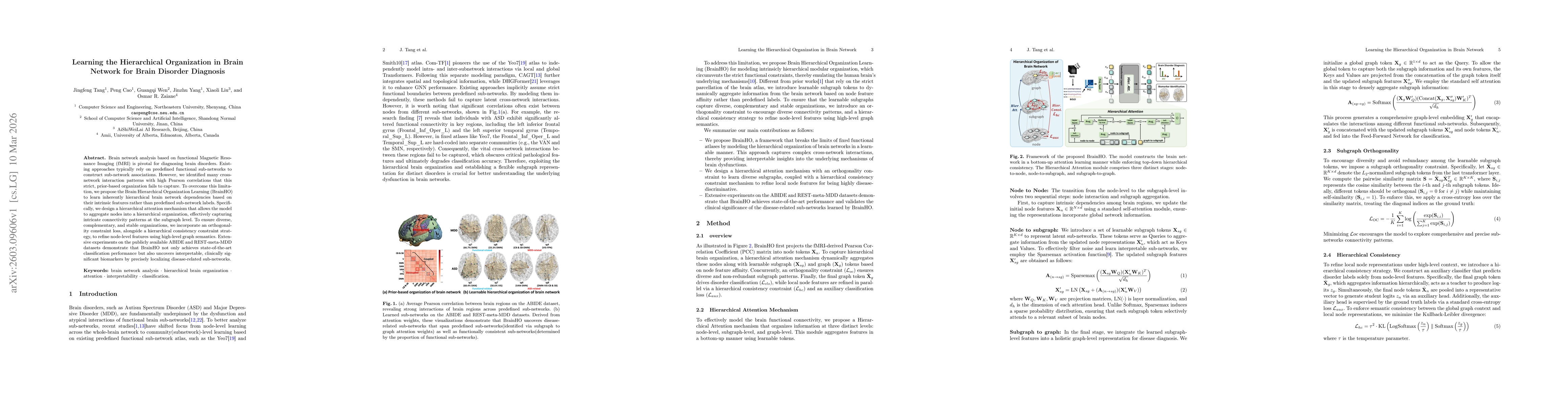Thumbnail for Learning the Hierarchical Organization in Brain Network for Brain Disorder Diagnosis