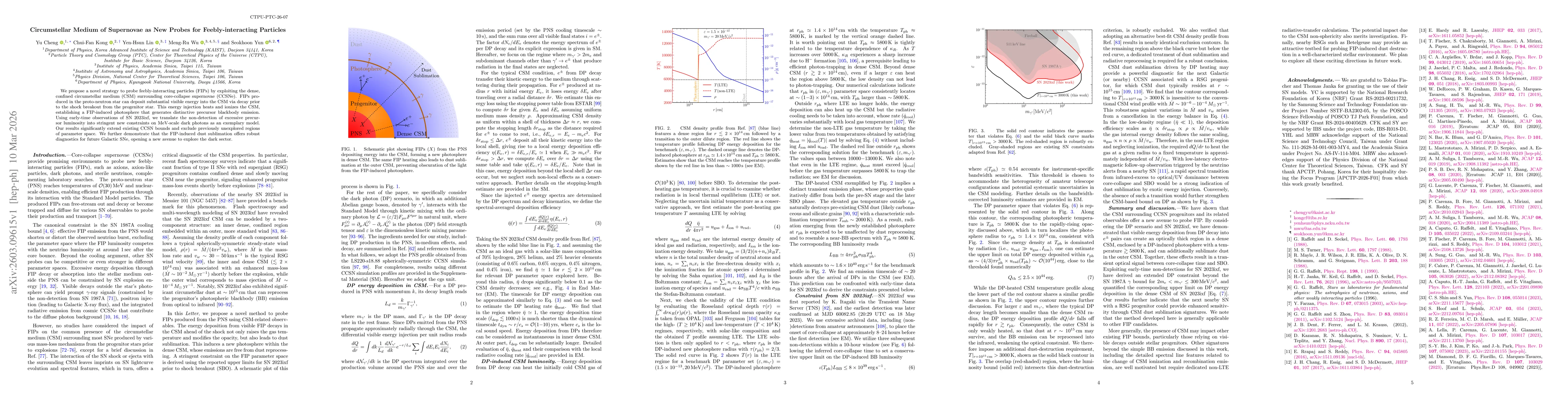 Thumbnail for Circumstellar Medium of Supernovae as New Probes for Feebly-interacting Particles