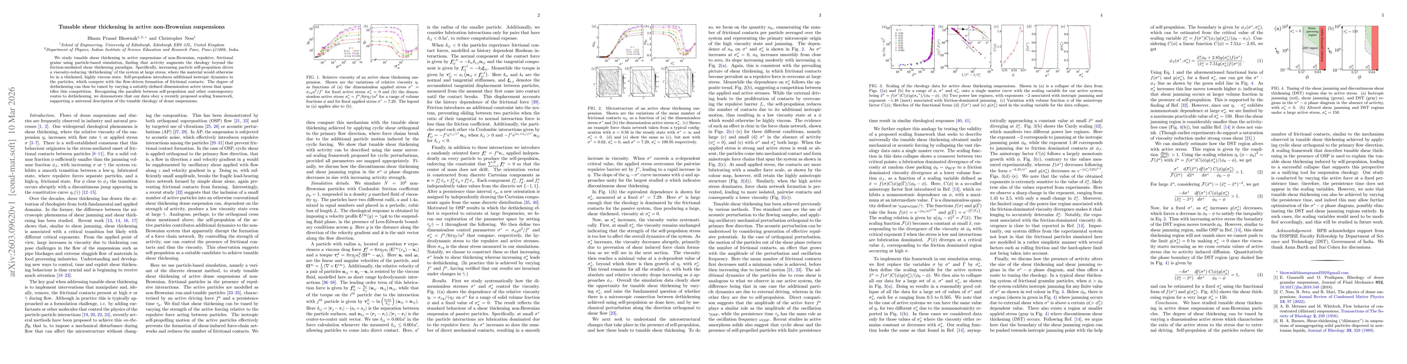 Thumbnail for Tunable shear thickening in active non-Brownian suspensions