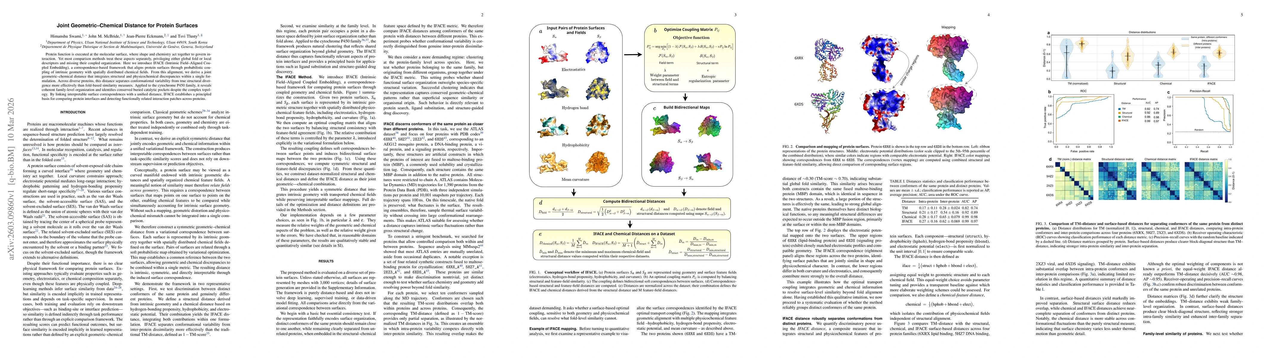 Thumbnail for Joint Geometric-Chemical Distance for Protein Surfaces