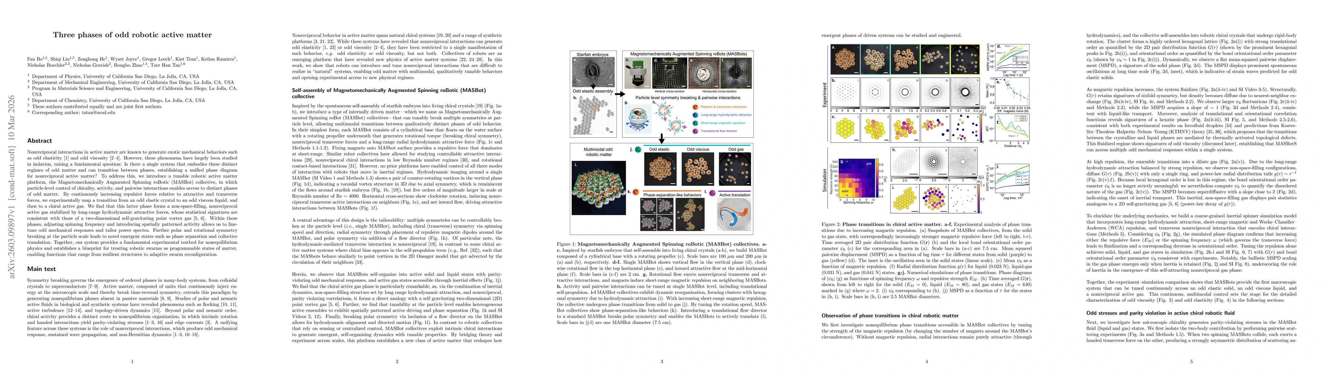 Thumbnail for Three phases of odd robotic active matter