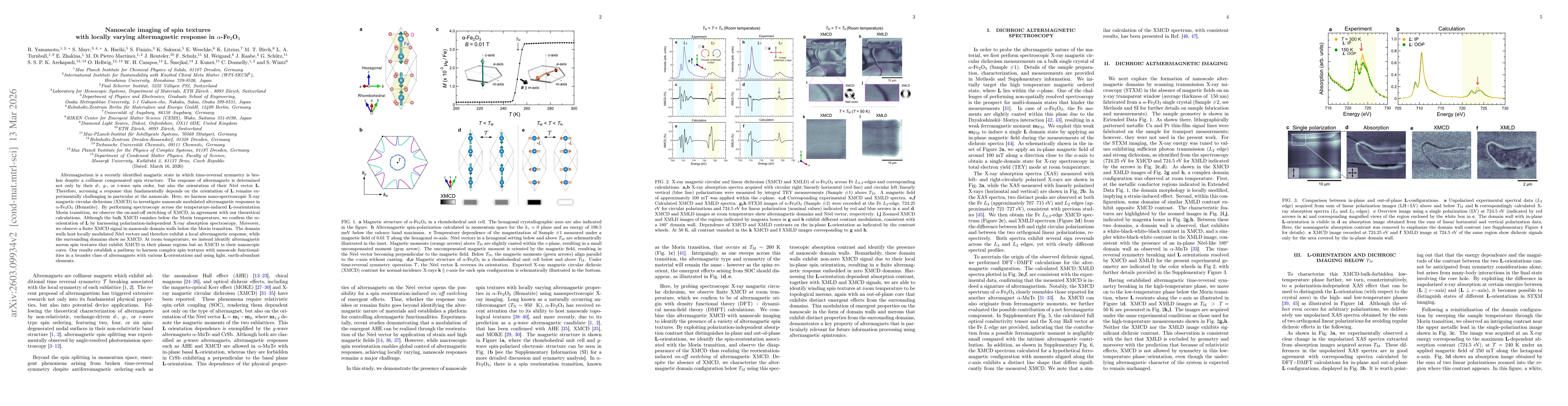 Thumbnail for Nanoscale imaging of spin textures with locally varying altermagnetic response in $α$-Fe$_2$O$_3$