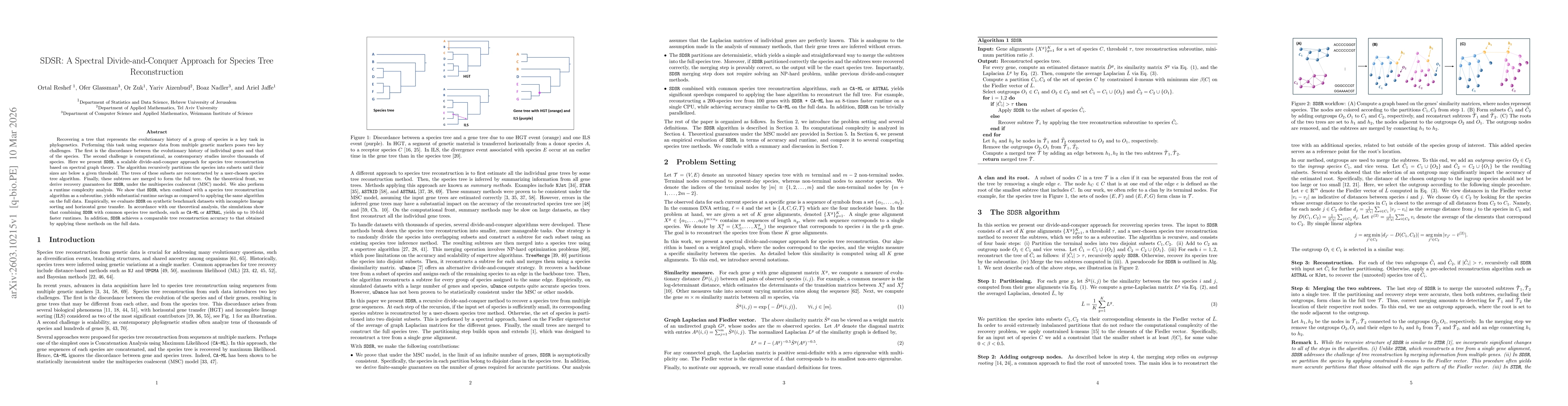 Thumbnail for SDSR: A Spectral Divide-and-Conquer Approach for Species Tree Reconstruction