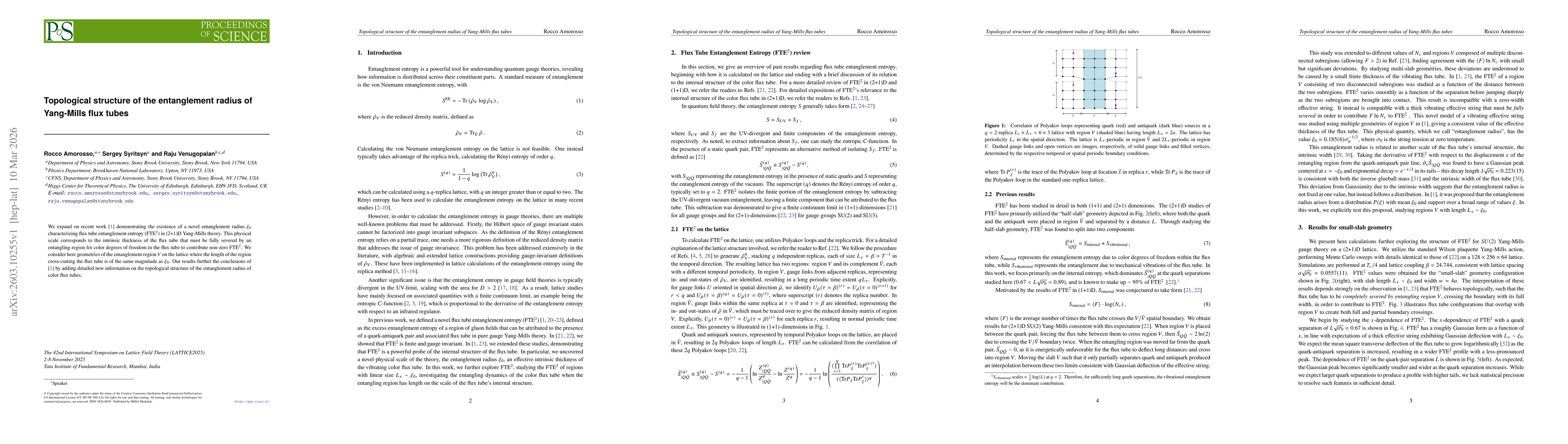 Thumbnail for Topological structure of the entanglement radius of Yang-Mills flux tubes