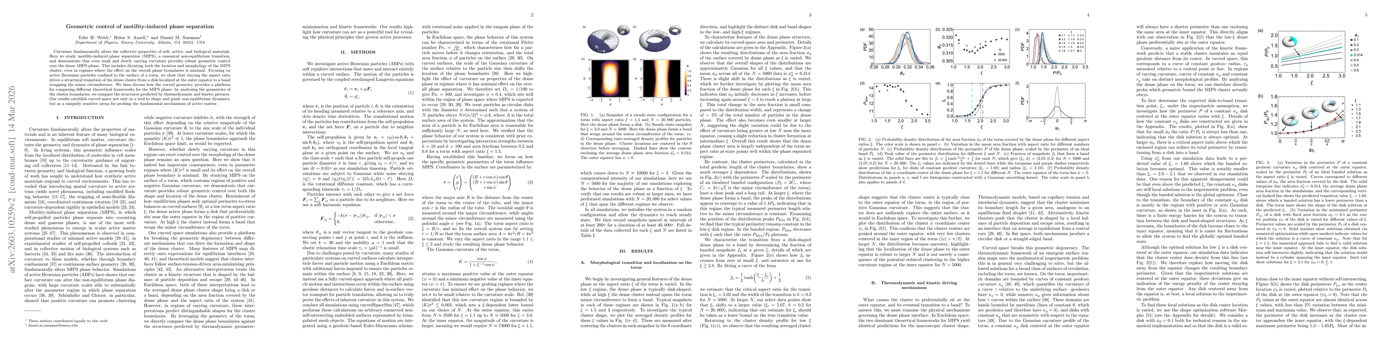 Thumbnail for Geometric control of motility-induced phase separation