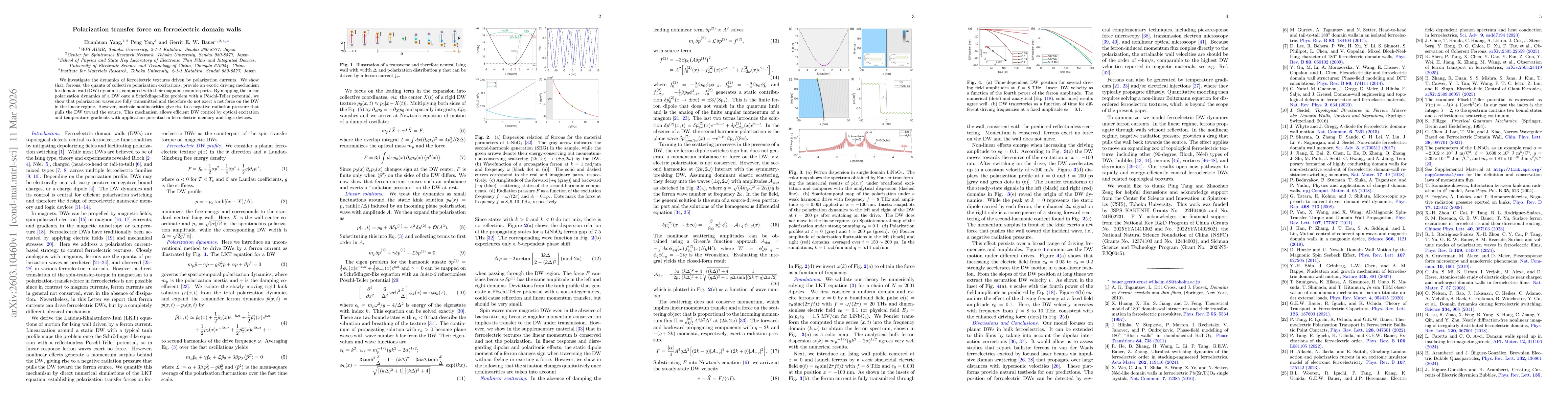 Thumbnail for Polarization transfer force on ferroelectric domain walls