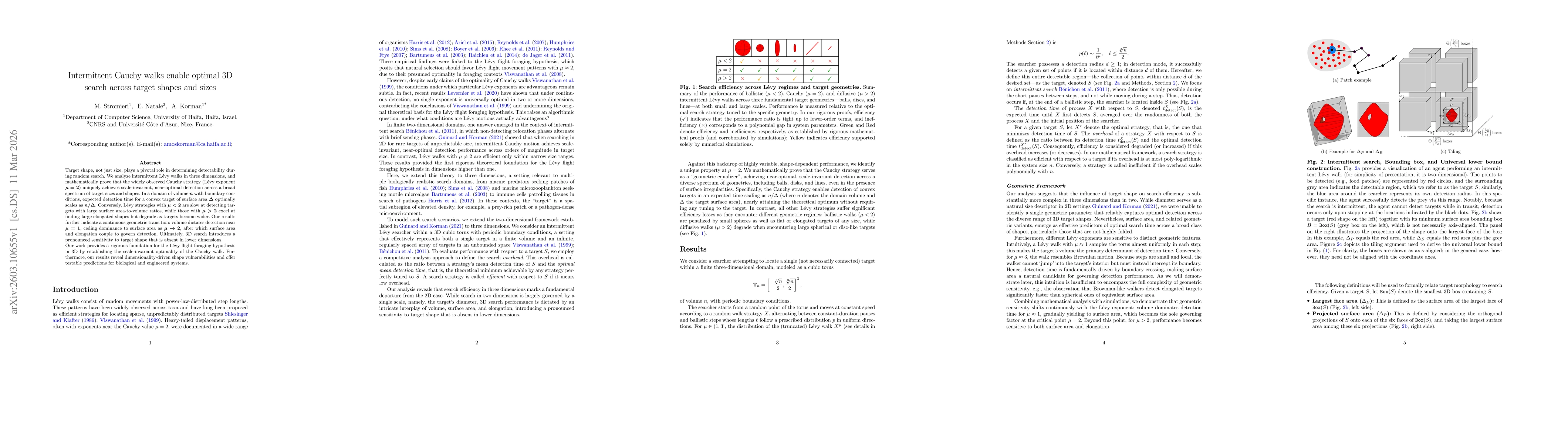 Thumbnail for Intermittent Cauchy walks enable optimal 3D search across target shapes and sizes