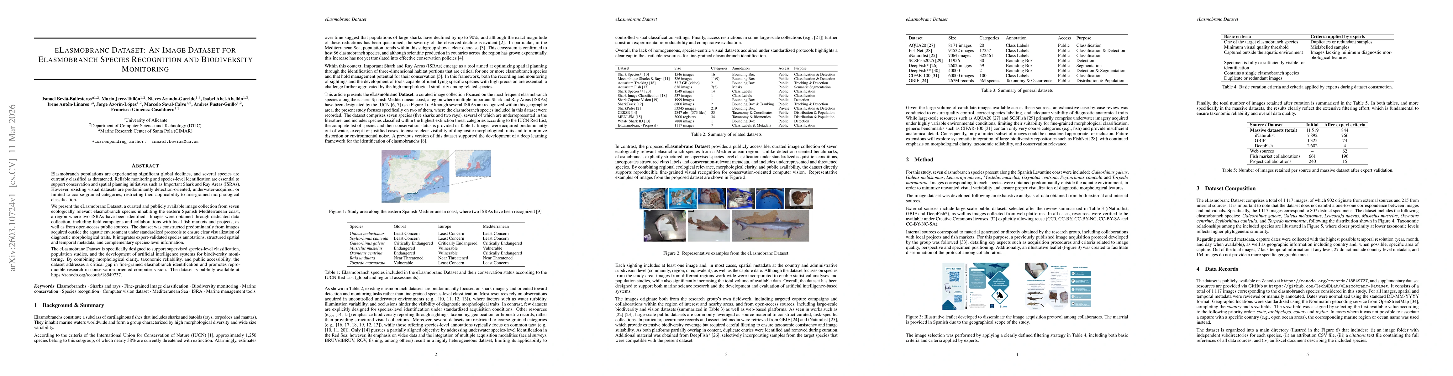 Thumbnail for eLasmobranc Dataset: An Image Dataset for Elasmobranch Species Recognition and Biodiversity Monitoring