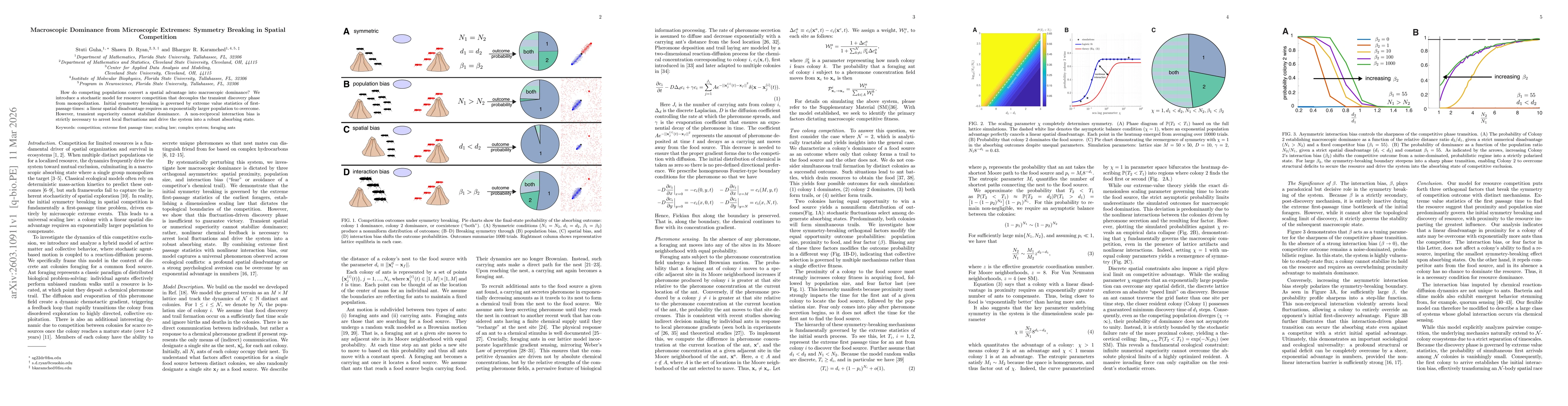 Thumbnail for Macroscopic Dominance from Microscopic Extremes: Symmetry Breaking in Spatial Competition