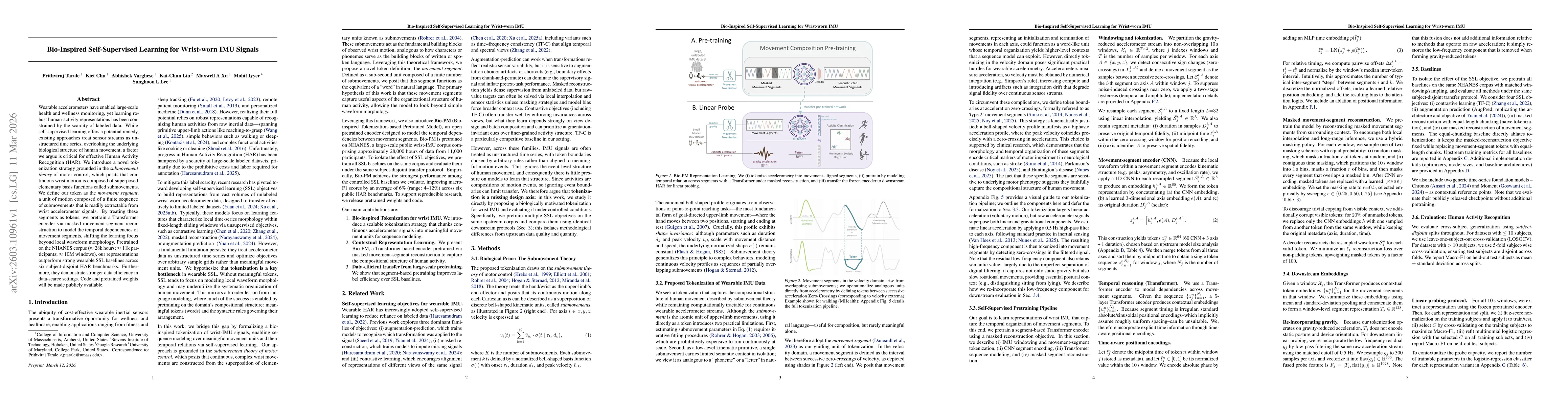 Thumbnail for Bio-Inspired Self-Supervised Learning for Wrist-worn IMU Signals