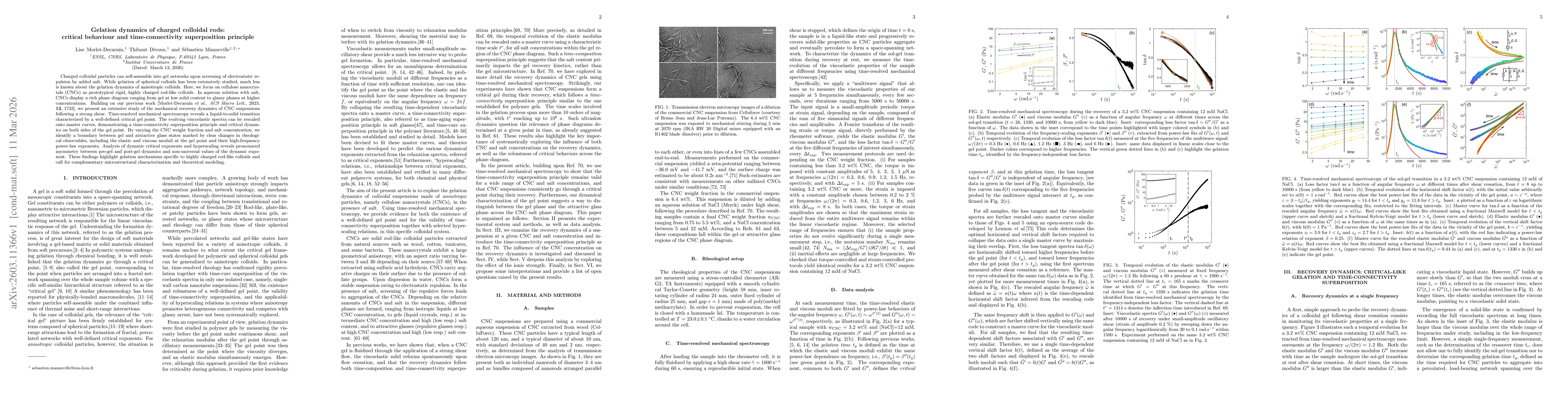 Thumbnail for Gelation dynamics of charged colloidal rods: critical behaviour and time-connectivity superposition principle