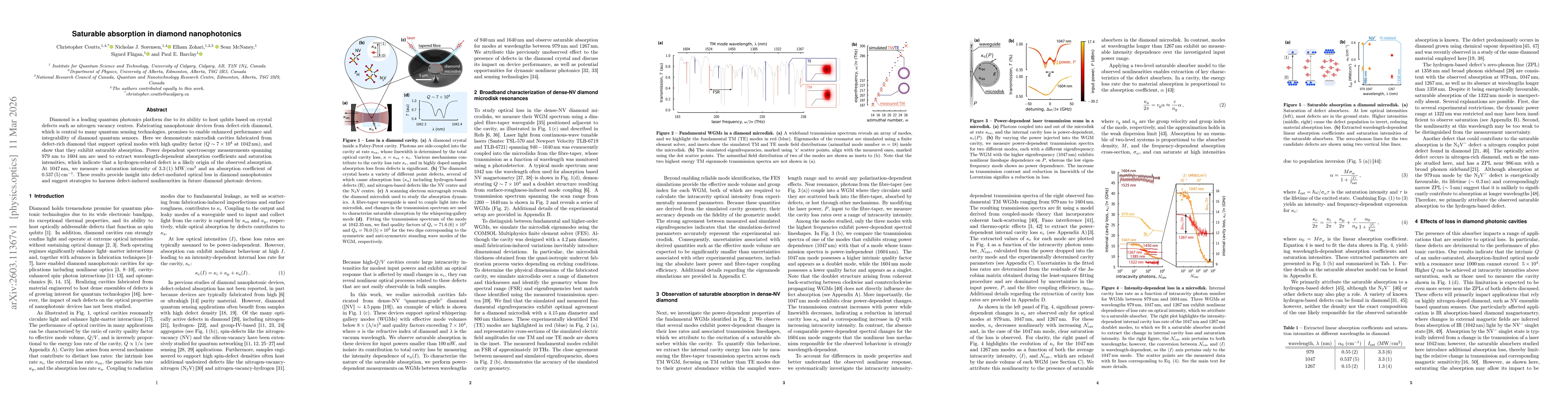 Thumbnail for Saturable absorption in diamond nanophotonics