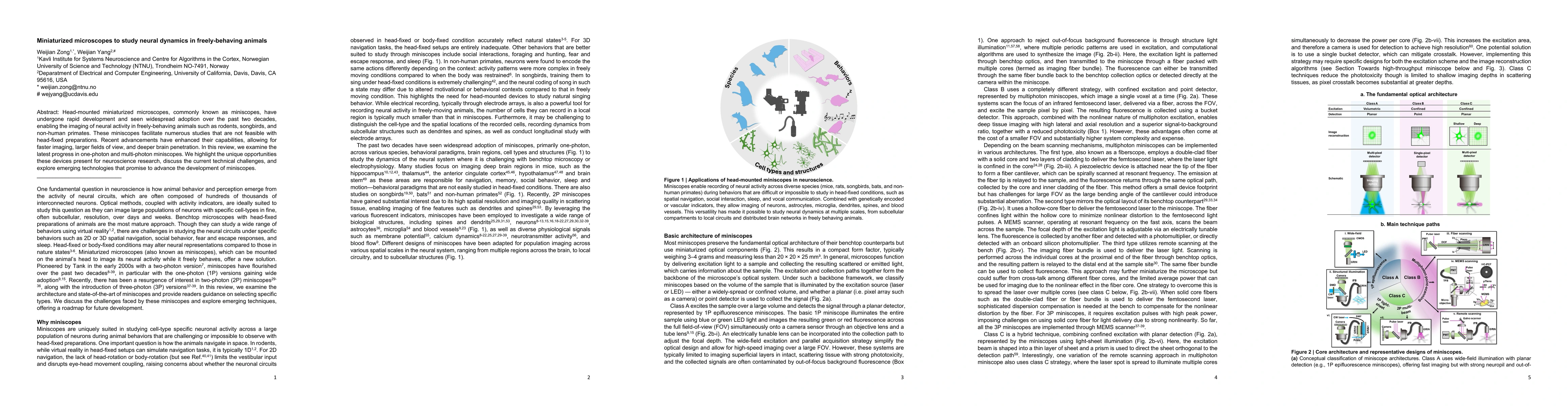 Thumbnail for Miniaturized microscopes to study neural dynamics in freely-behaving animals