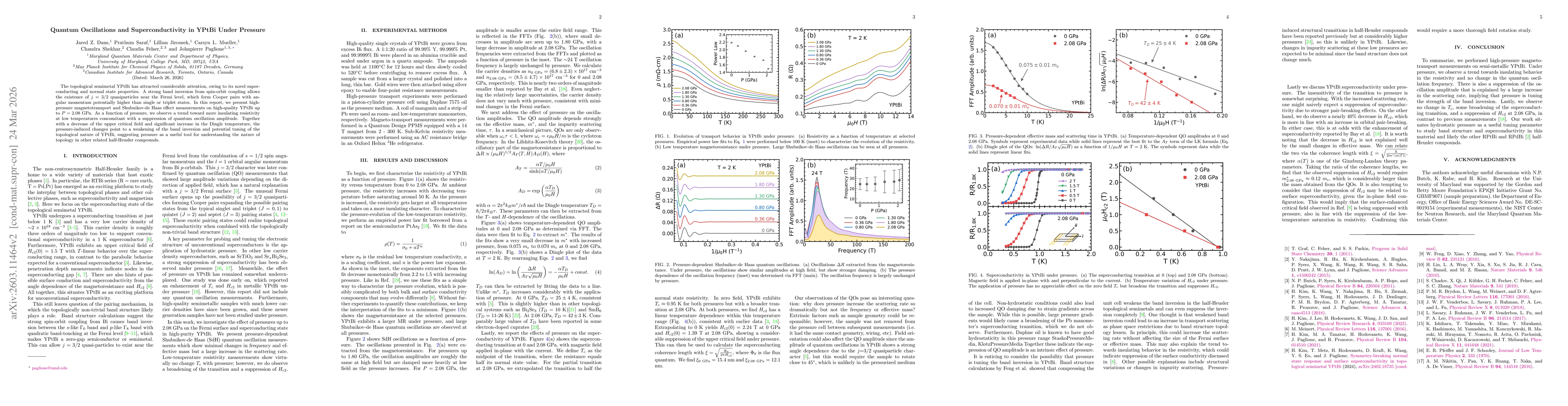 Thumbnail for Quantum Oscillations and Superconductivity in YPtBi Under Pressure
