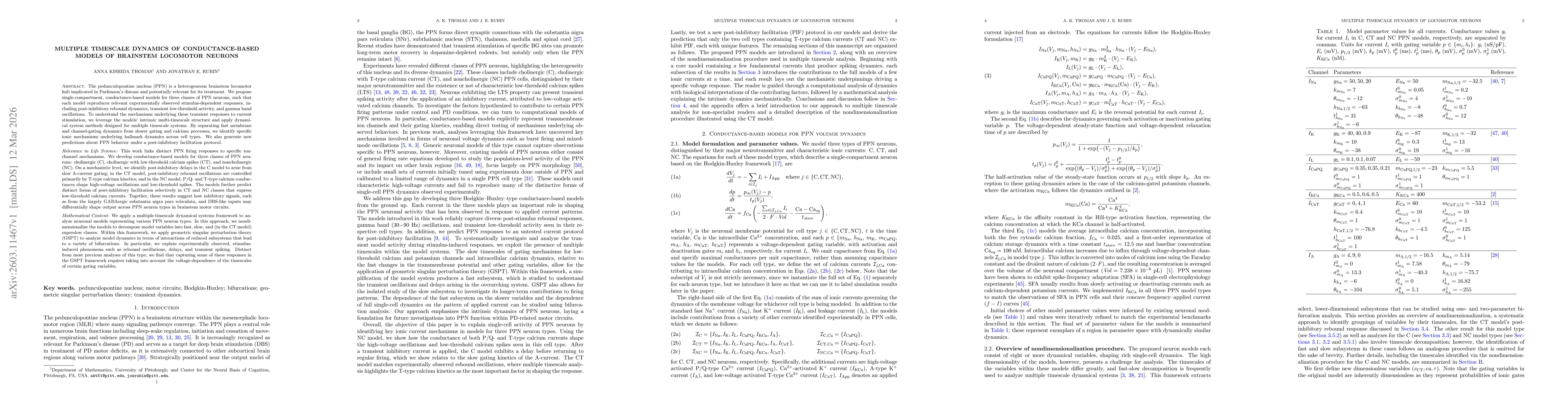 Thumbnail for Multiple timescale dynamics of conductance-based models of brainstem locomotor neurons
