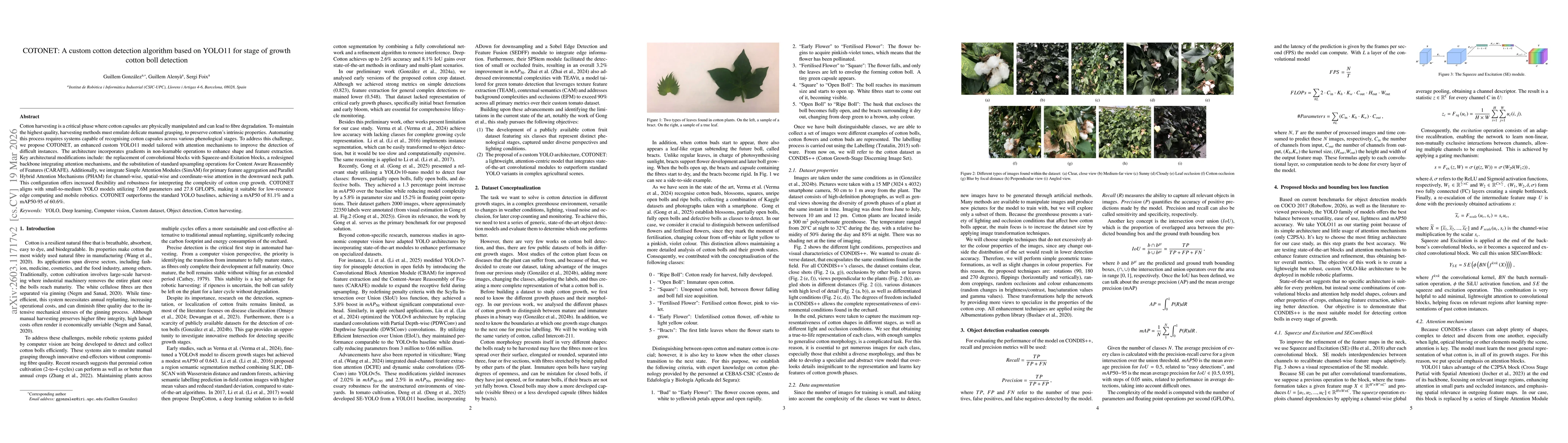 Thumbnail for COTONET: A custom cotton detection algorithm based on YOLO11 for stage of growth cotton boll detection