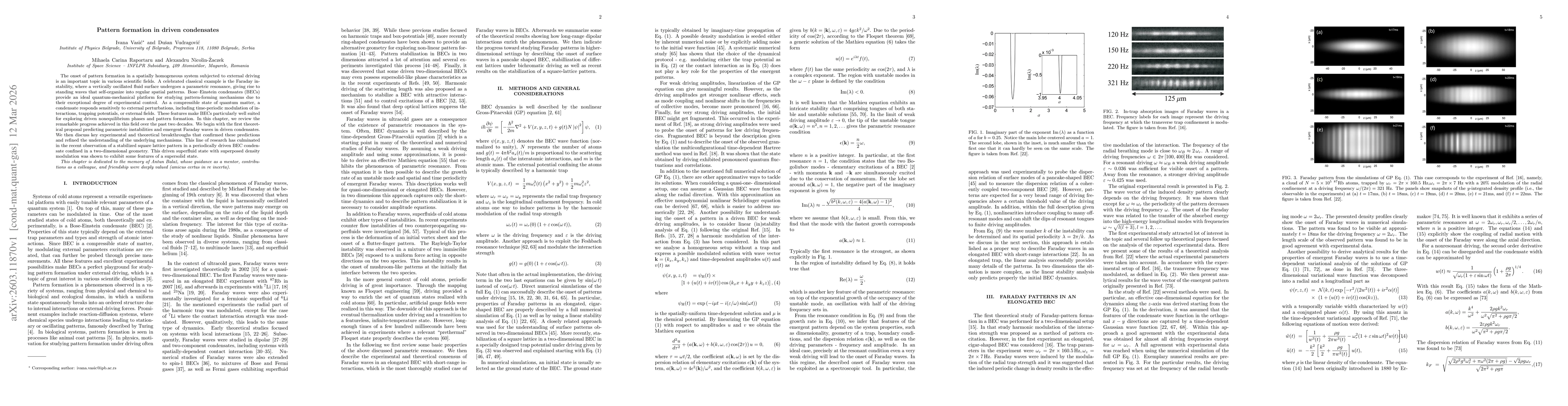 Thumbnail for Pattern formation in driven condensates