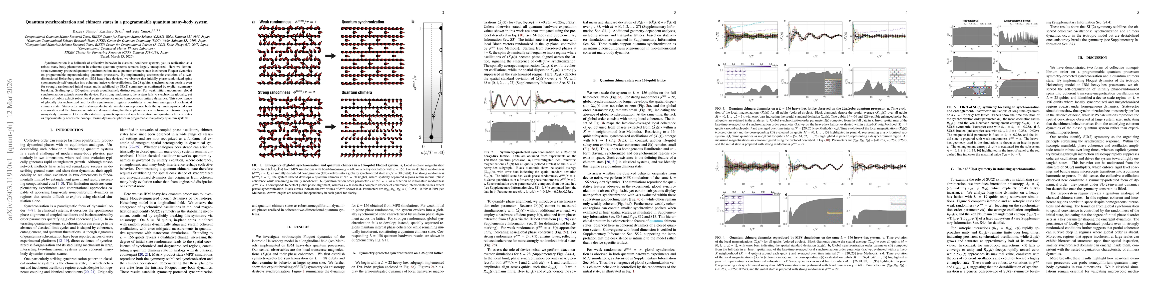 Thumbnail for Quantum synchronization and chimera states in a programmable quantum many-body system