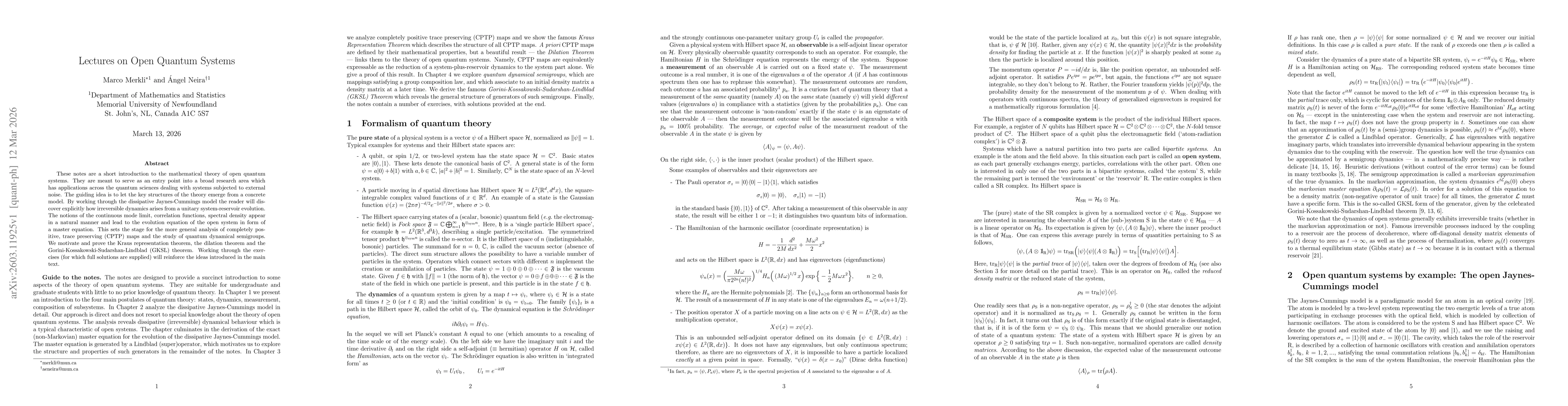 Thumbnail for Lectures on Open Quantum Systems