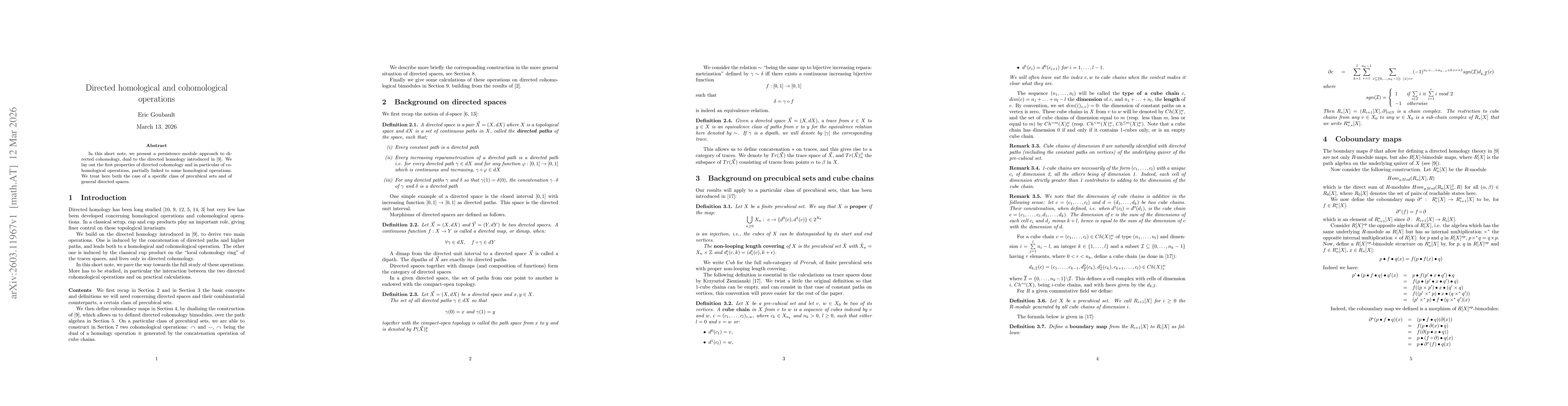 Thumbnail for Directed homological and cohomological operations