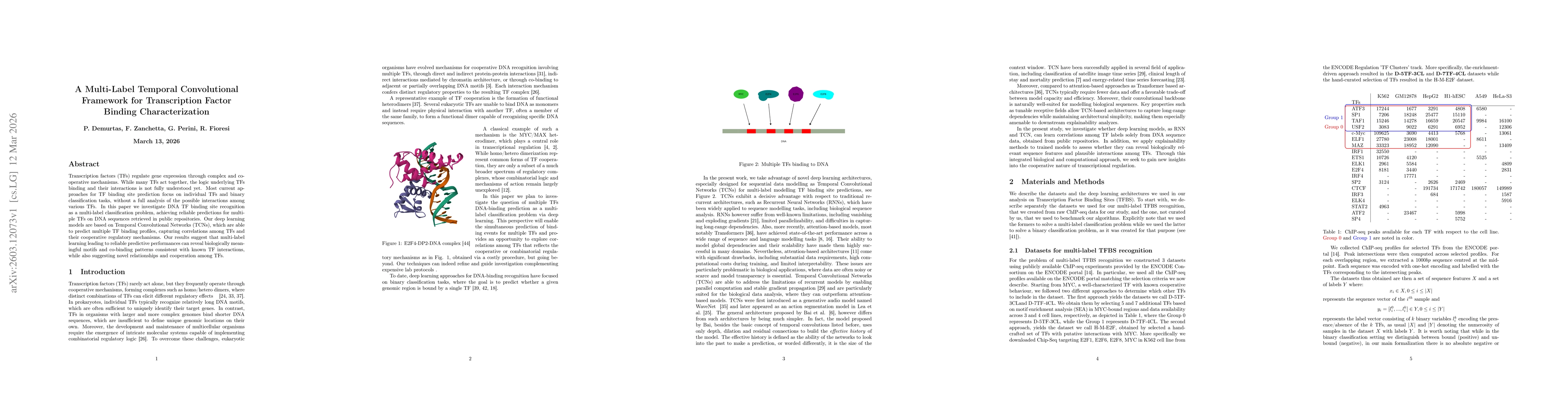 Thumbnail for A Multi-Label Temporal Convolutional Framework for Transcription Factor Binding Characterization