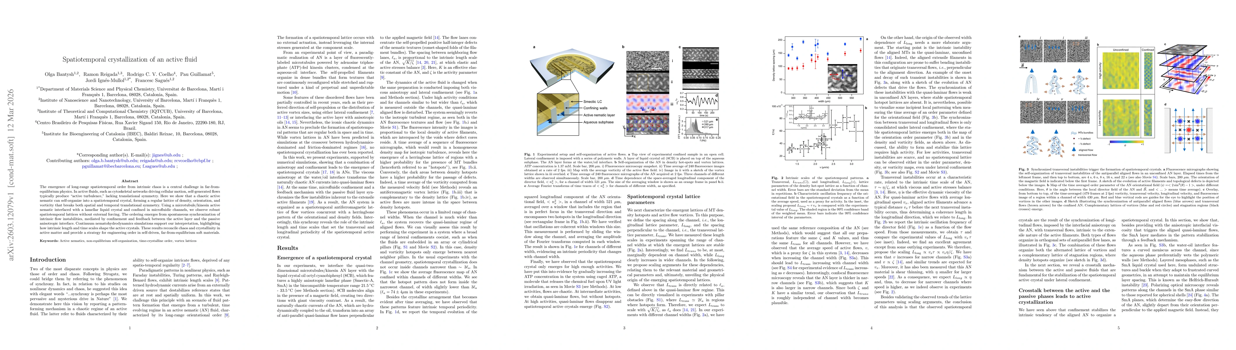 Thumbnail for Spatiotemporal crystallization of an active fluid