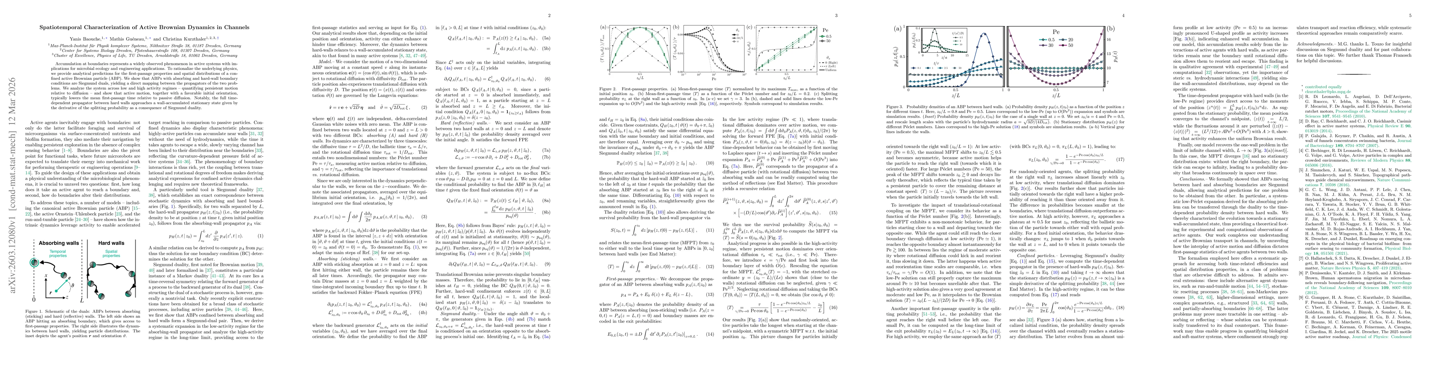 Thumbnail for Spatiotemporal Characterization of Active Brownian Dynamics in Channels