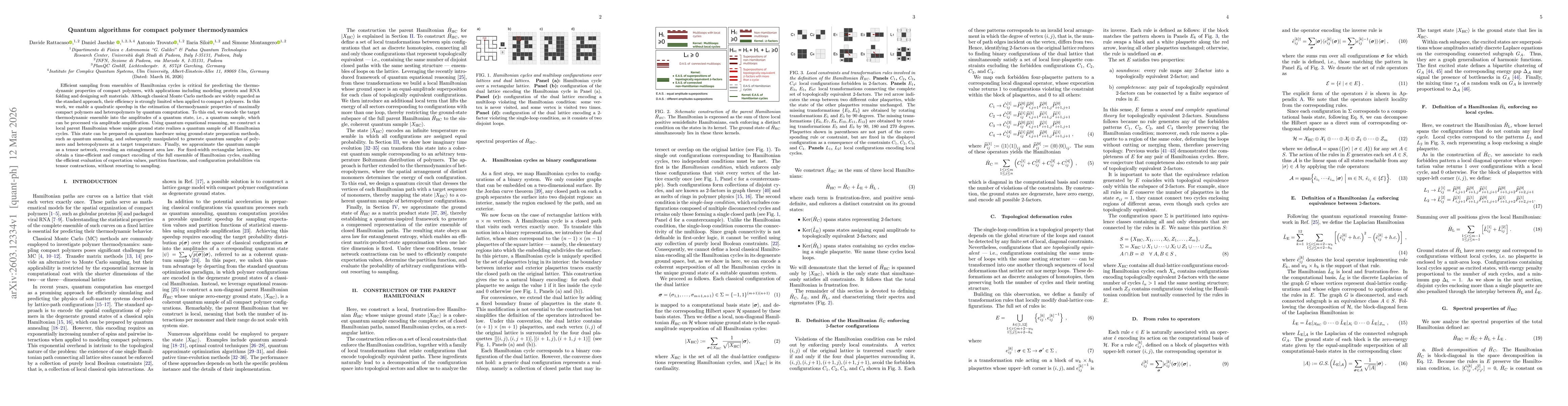 Thumbnail for Quantum algorithms for compact polymer thermodynamics