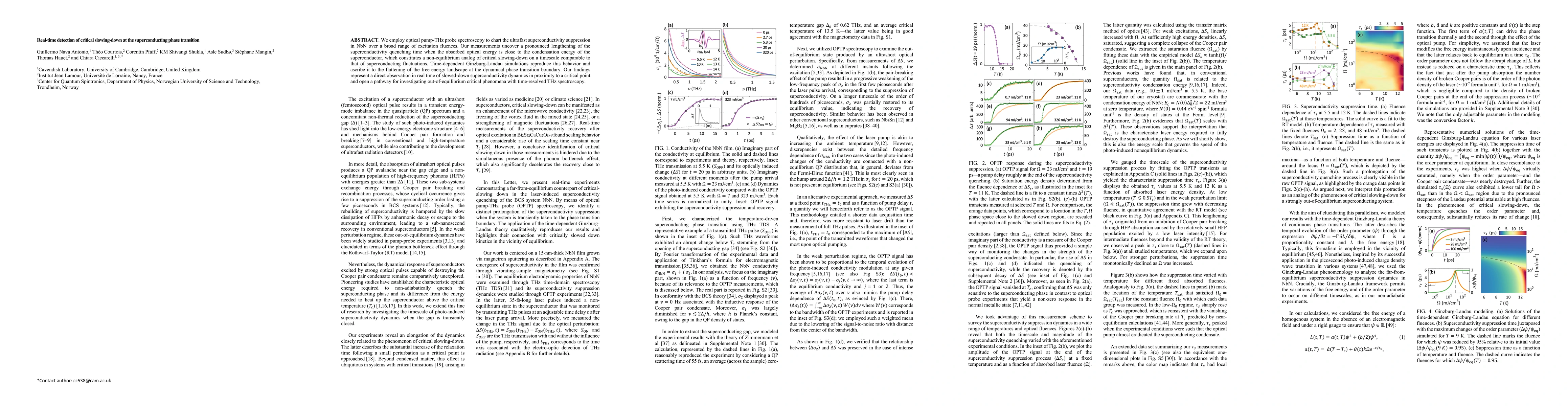 Thumbnail for Real-time detection of critical slowing-down at the superconducting phase transition