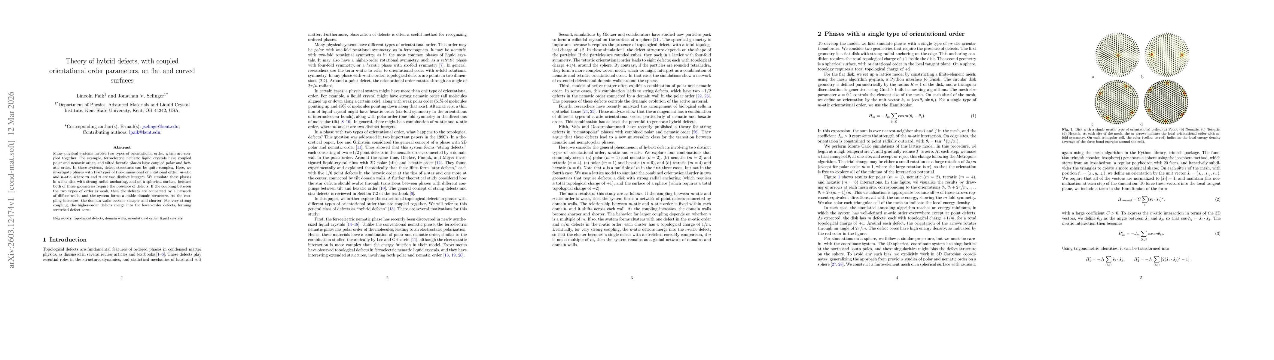 Thumbnail for Theory of hybrid defects, with coupled orientational order parameters, on flat and curved surfaces
