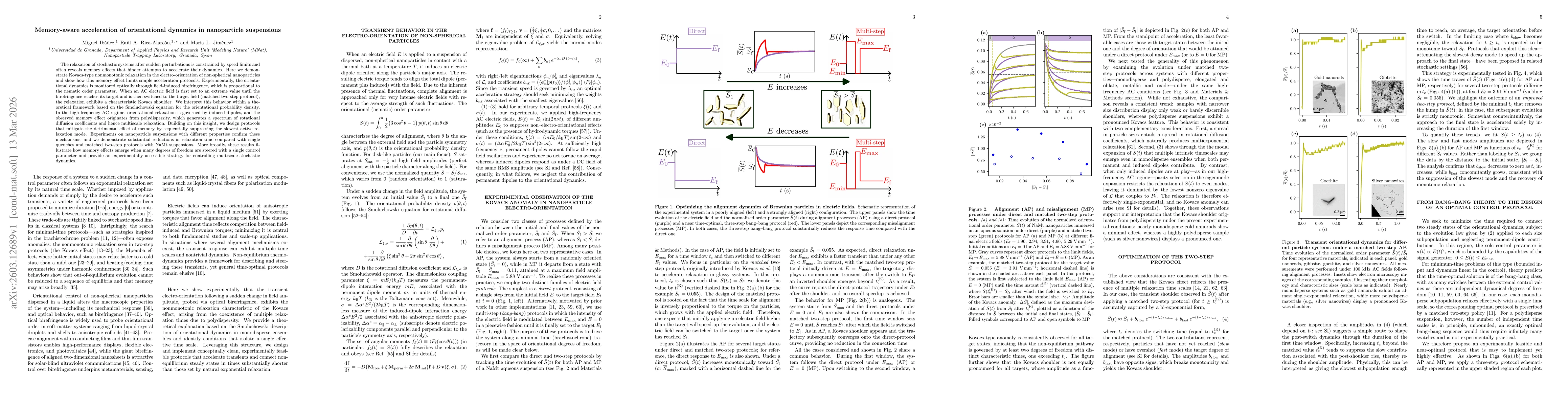 Thumbnail for Memory-aware acceleration of orientational dynamics in nanoparticle suspensions