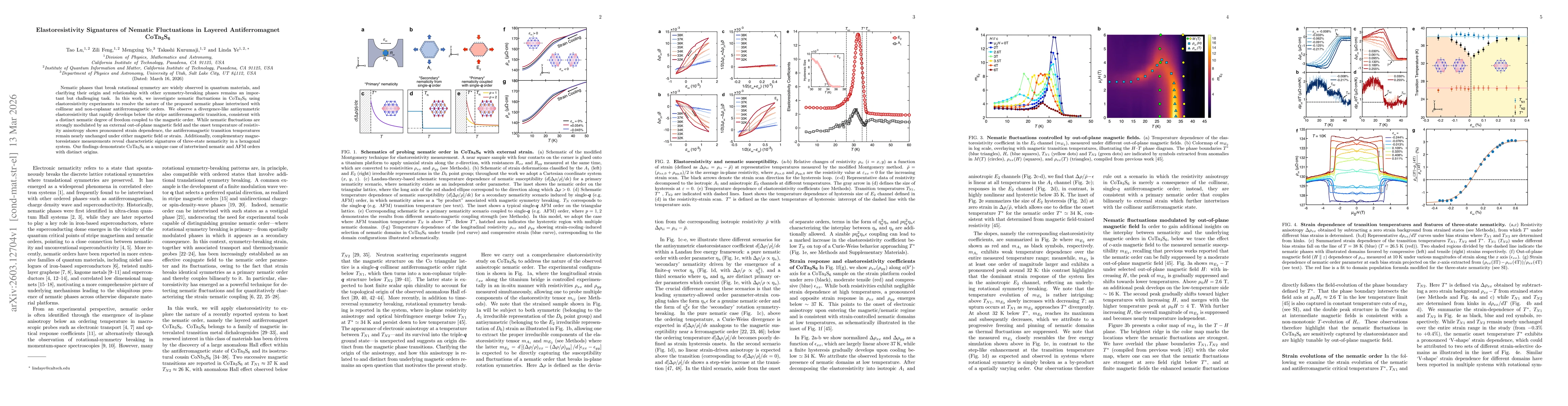 Thumbnail for Elastoresistivity Signatures of Nematic Fluctuations in Layered Antiferromagnet CoTa3S6