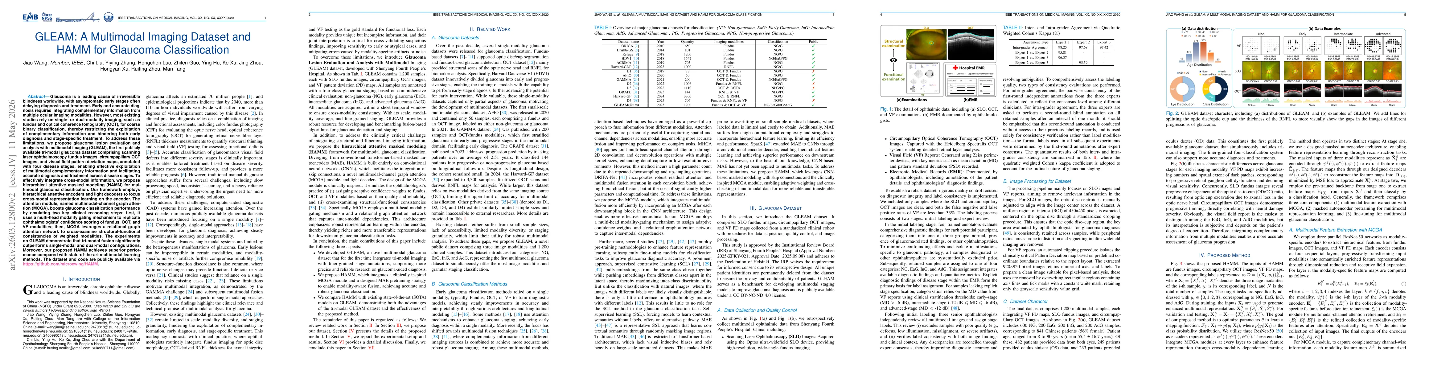 Thumbnail for GLEAM: A Multimodal Imaging Dataset and HAMM for Glaucoma Classification