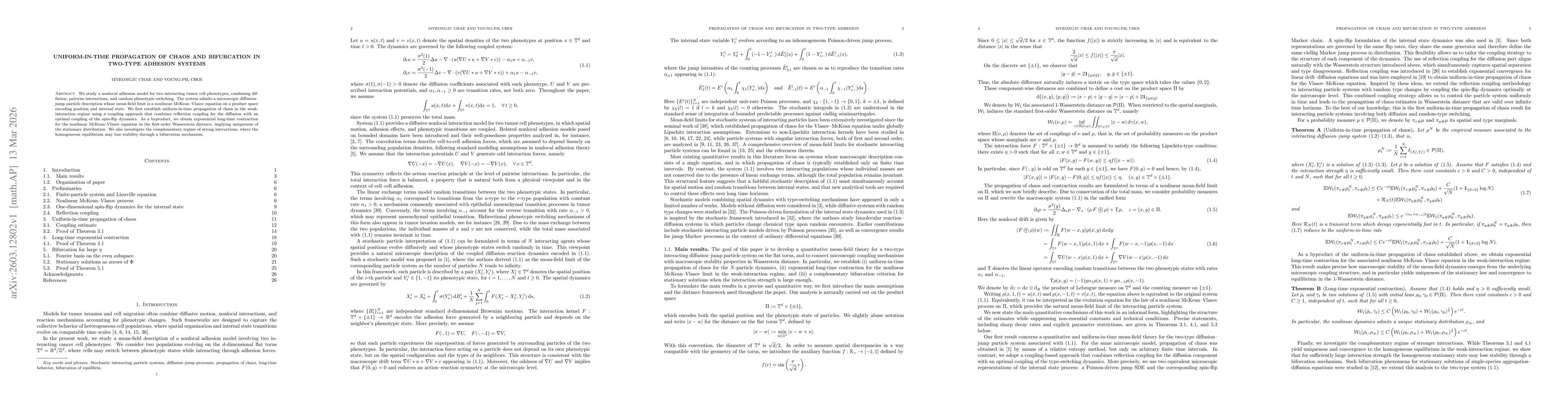 Thumbnail for Uniform-in-time propagation of chaos and bifurcation in two-type adhesion systems