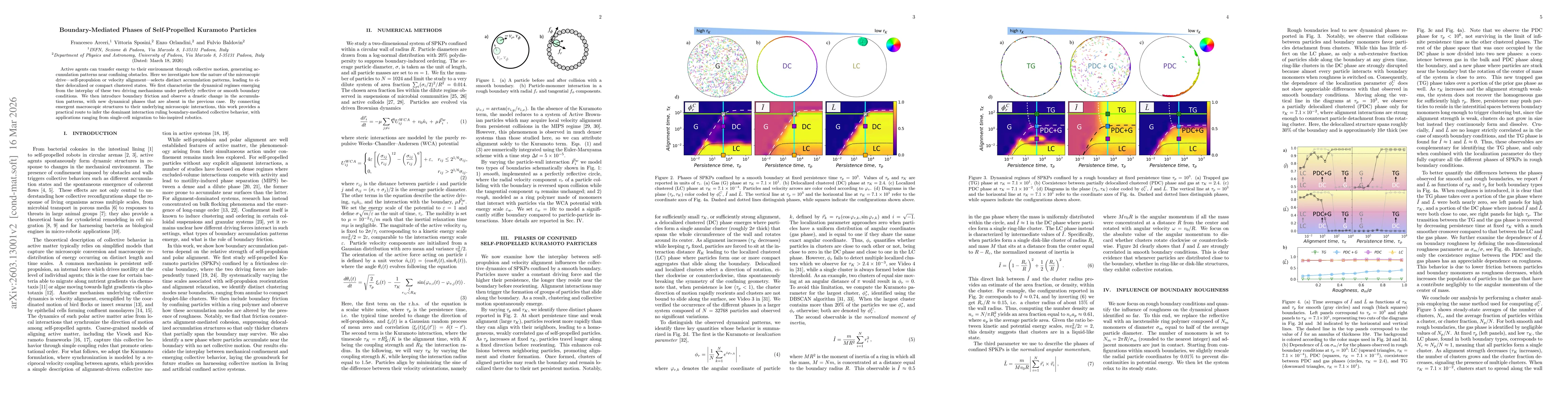 Thumbnail for Boundary-Mediated Phases of Self-Propelled Kuramoto Particles