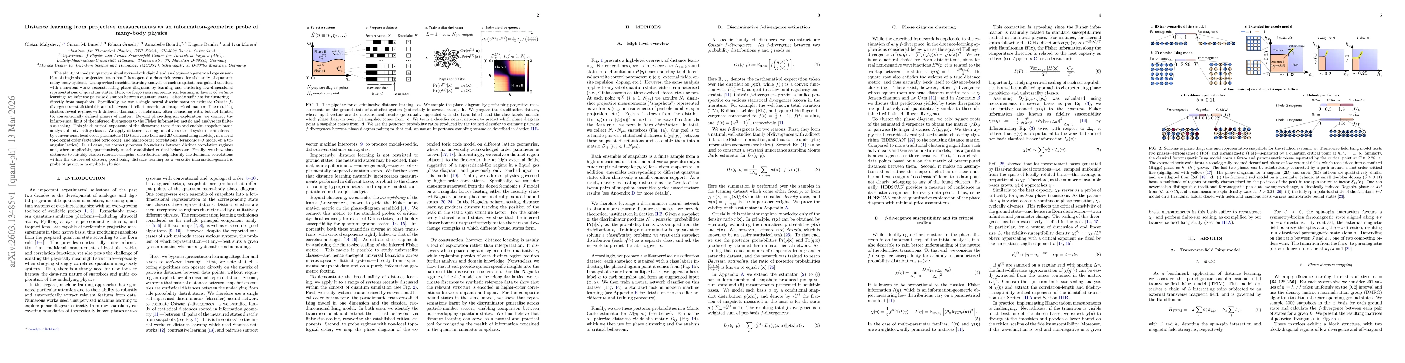 Thumbnail for Distance learning from projective measurements as an information-geometric probe of many-body physics