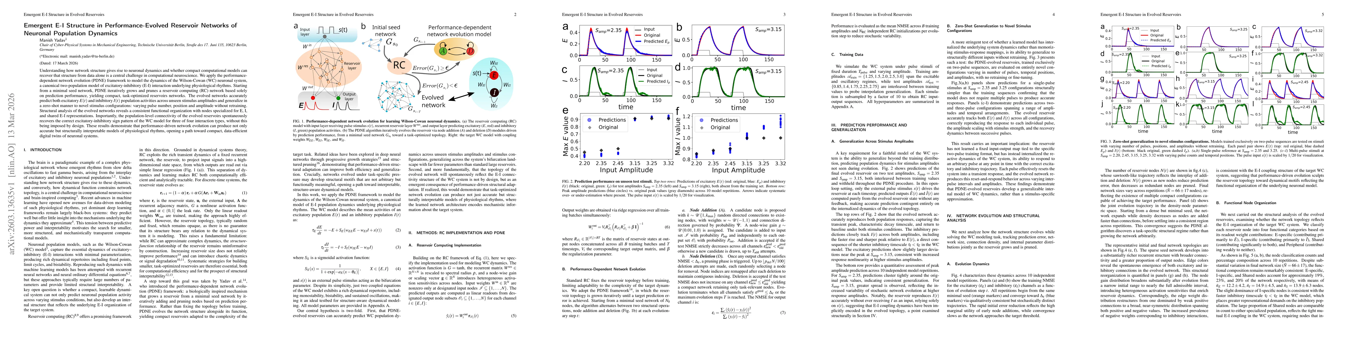 Thumbnail for Emergent E-I Structure in Performance-Evolved Reservoir Networks of Neuronal Population Dynamics