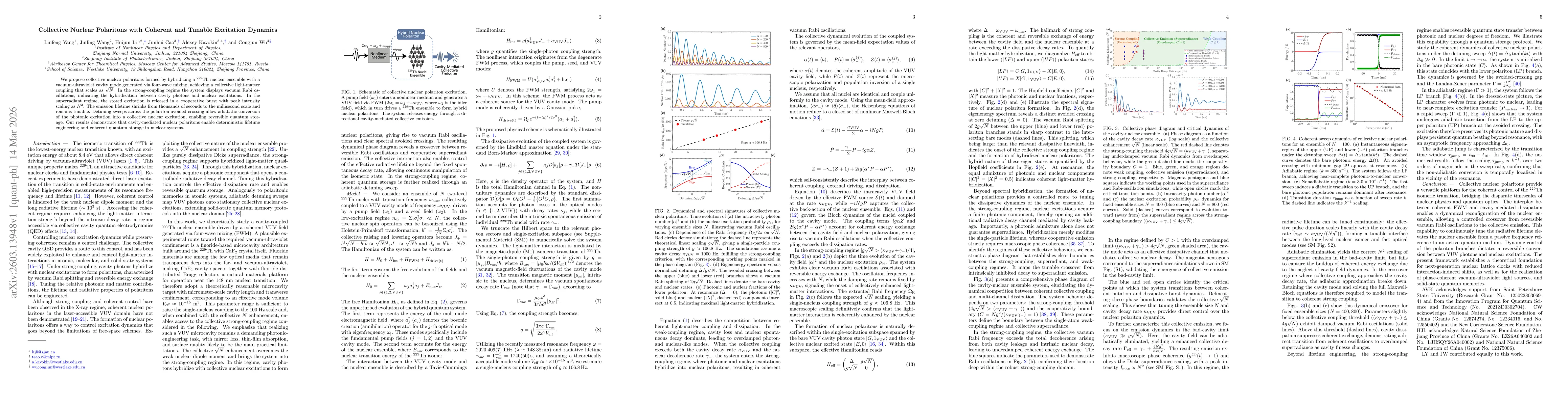 Thumbnail for Collective Nuclear Polaritons with Coherent and Tunable Excitation Dynamics