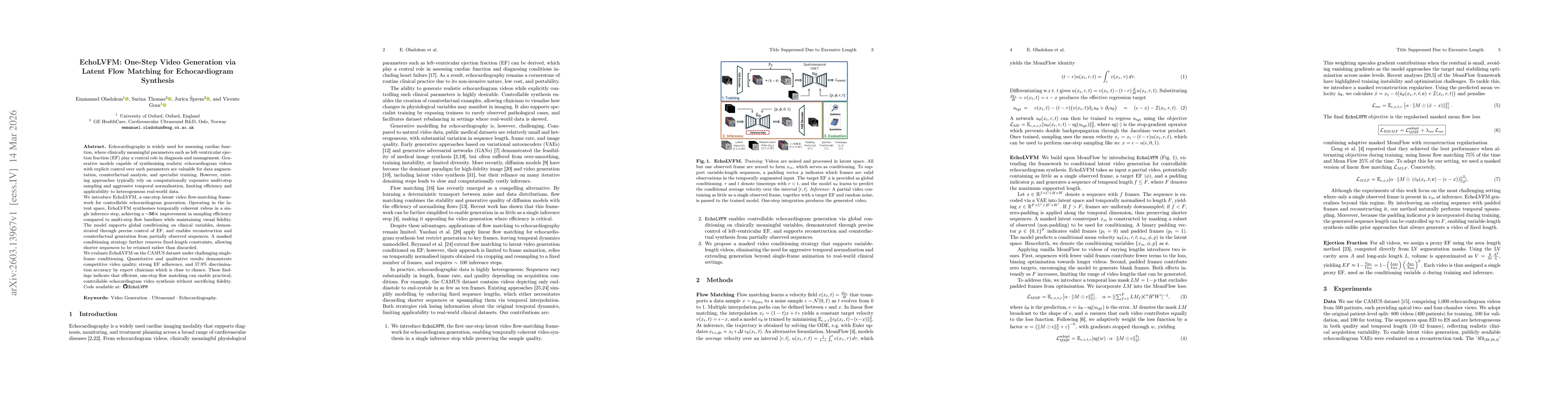 Thumbnail for EchoLVFM: One-Step Video Generation via Latent Flow Matching for Echocardiogram Synthesis