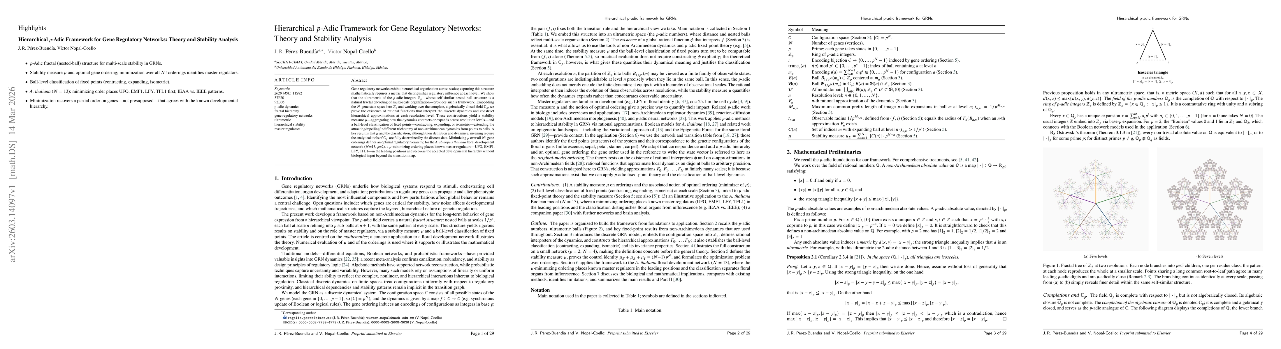 Thumbnail for Hierarchical p-Adic Framework for Gene Regulatory Networks: Theory and Stability Analysis