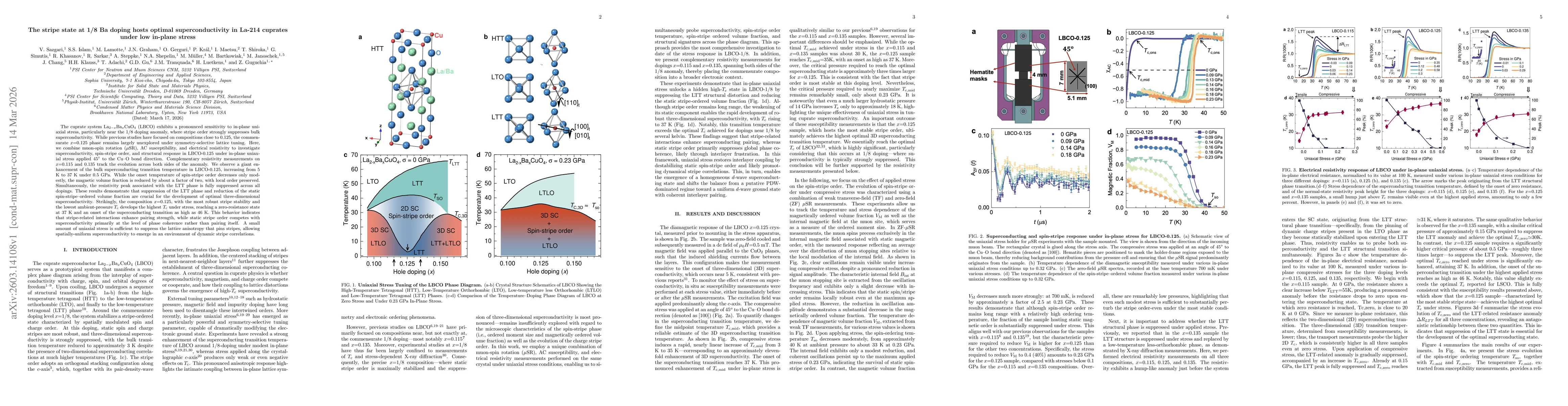 Thumbnail for The stripe state at 1/8 Ba doping hosts optimal superconductivity in La-214 cuprates under low in-plane stress