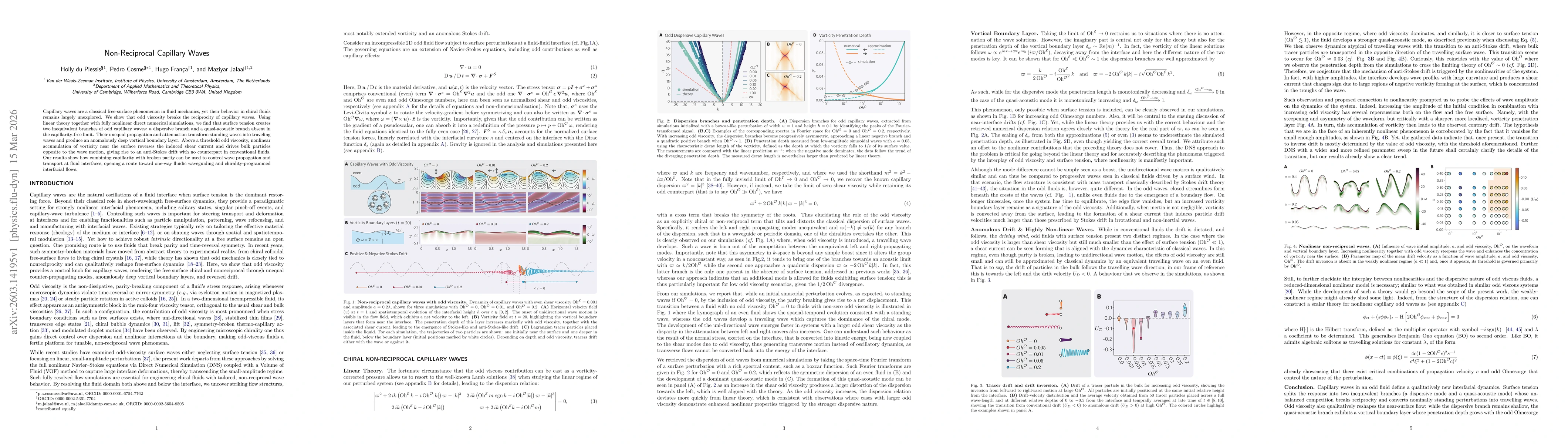 Thumbnail for Non-Reciprocal Capillary Waves